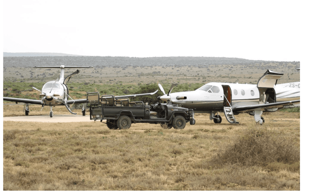 How private charter enables access to Africa’s safari destinations