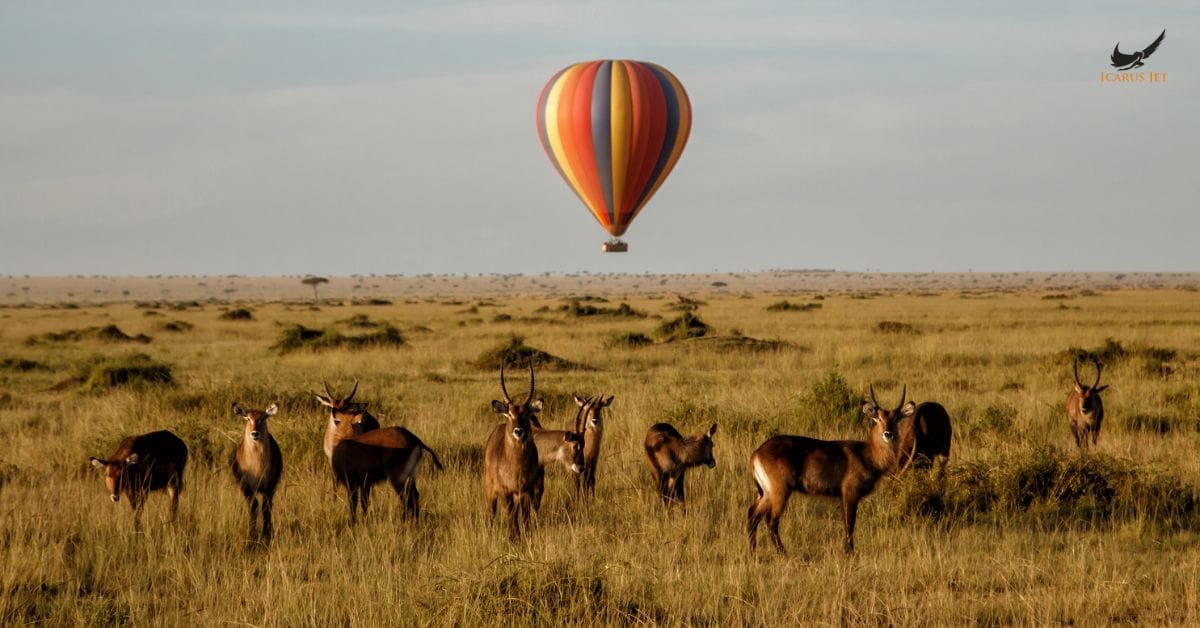 Nairobi to Malindi: Private Jet Charter Airports in Kenya