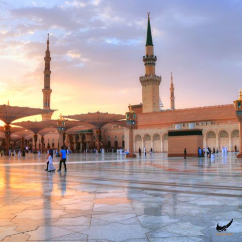 165 saudi arabia private jet service