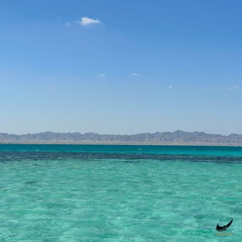 56 - 1 El Gouna