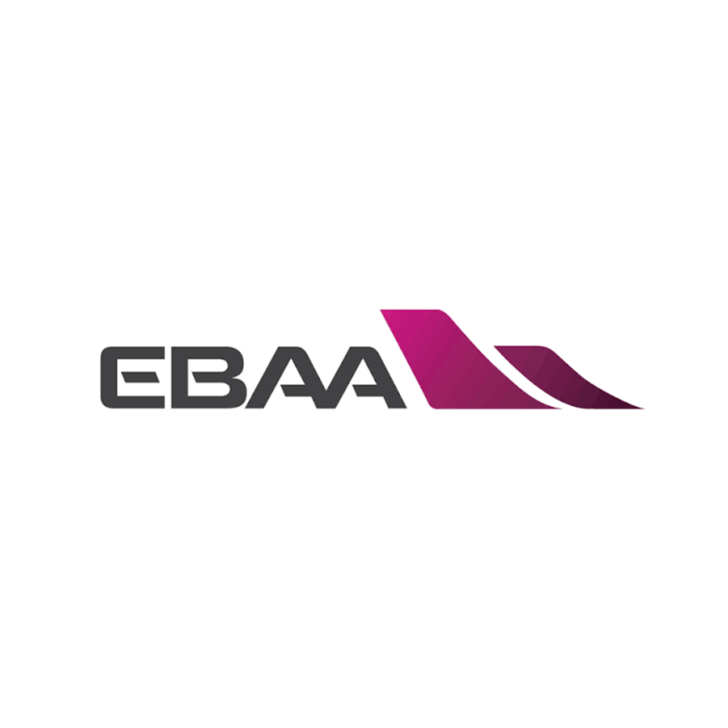 Member of the Air Charter Association