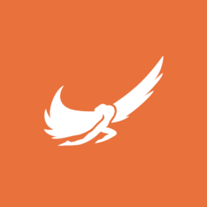 Icarus Jet Logo Orange