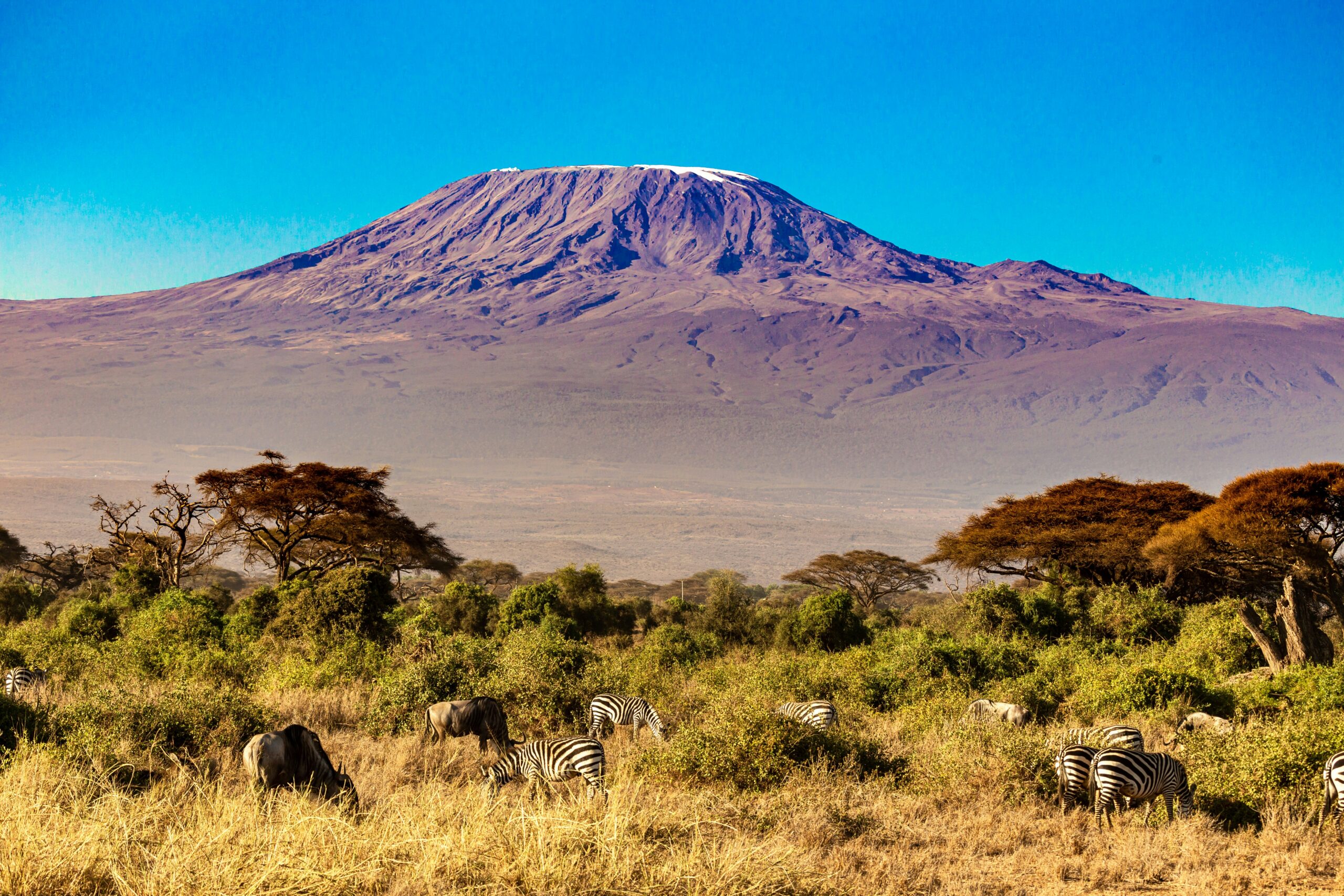 Nairobi to Amboseli Private Charter: Nairobi to Amboseli by private aircraft