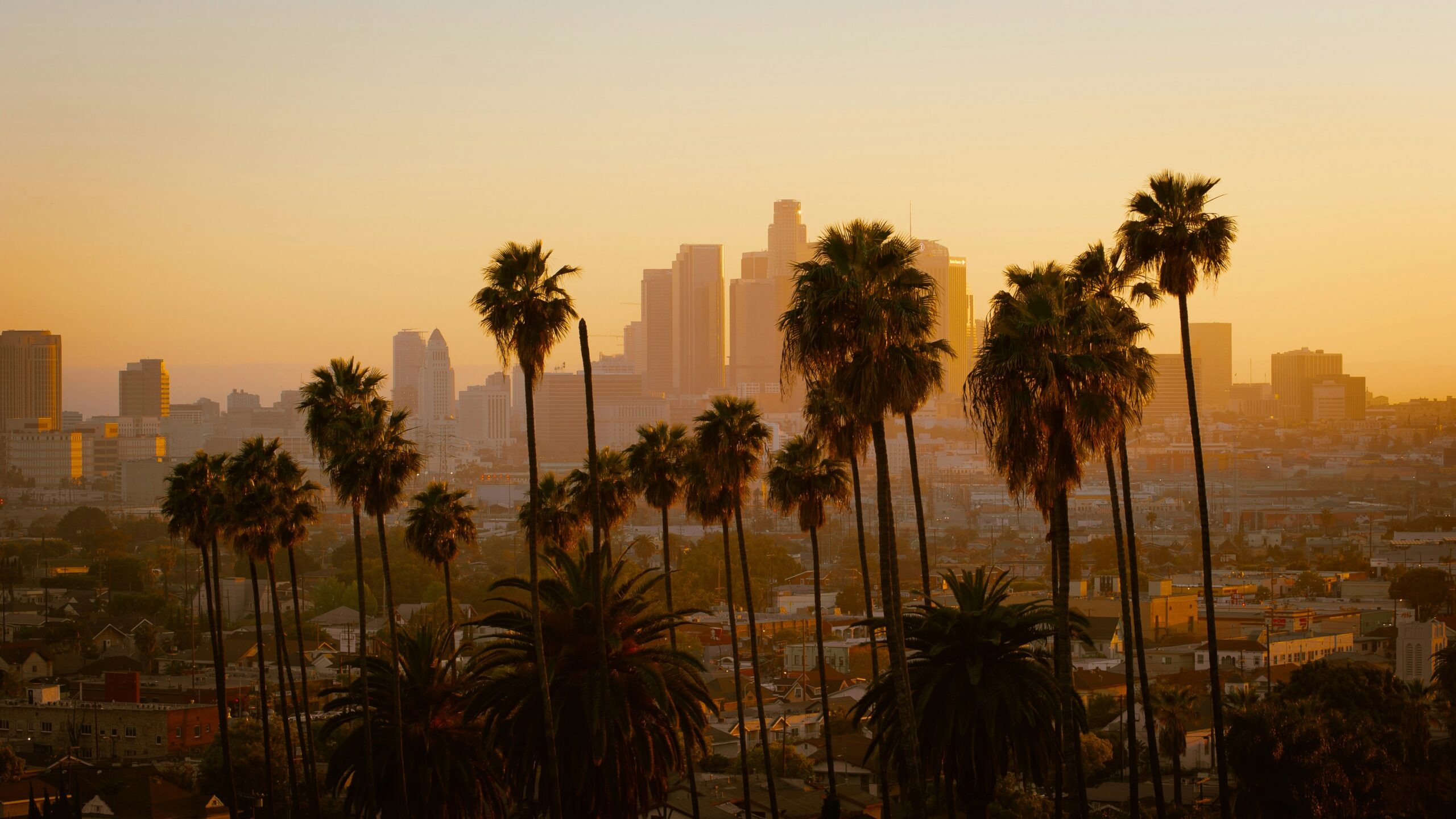 Los Angeles charter routes: the airports and aircraft the Icarus Jet desk flies from Los Angeles