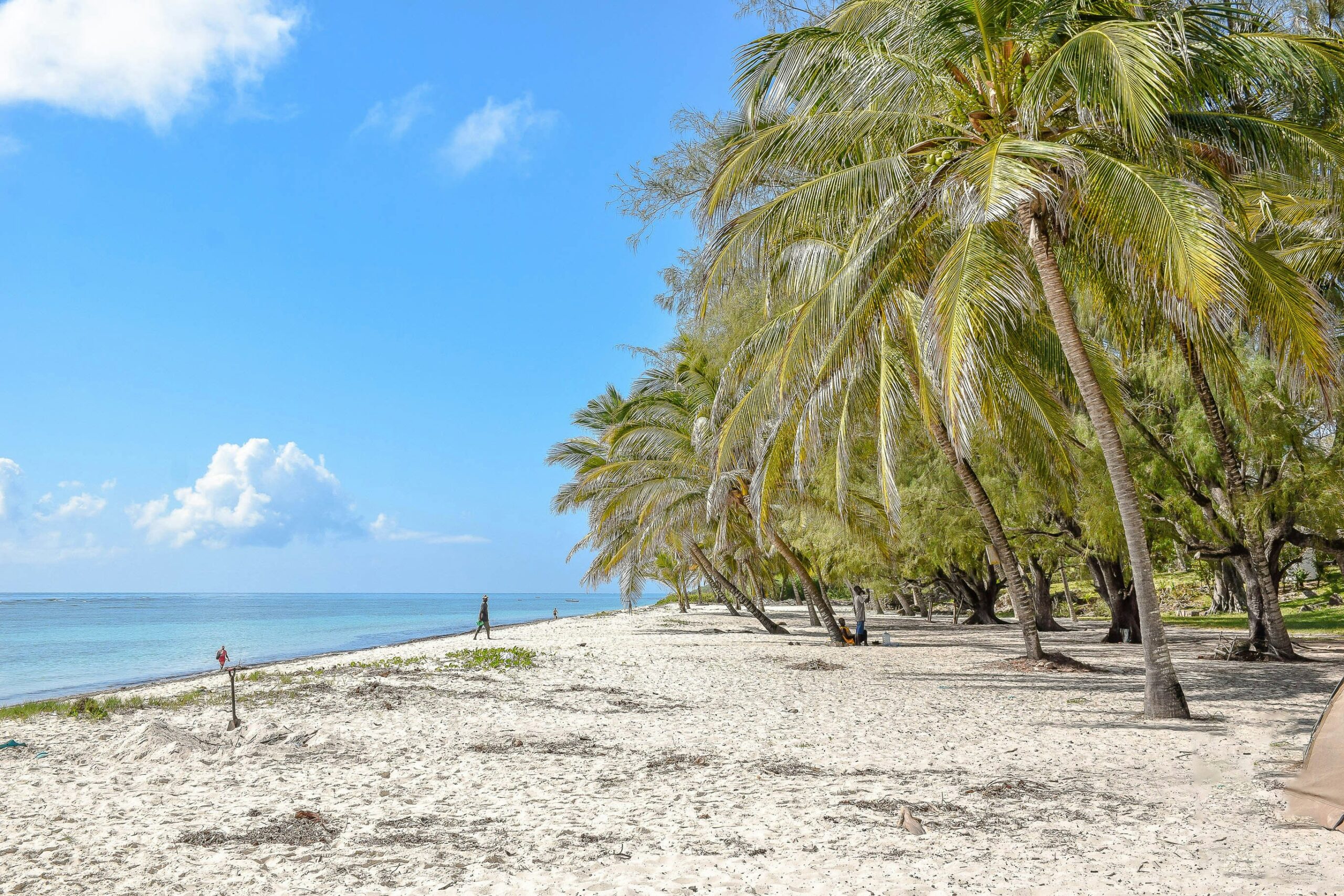 Nairobi to Mombasa Private Jet Charter: Nairobi to Mombasa by private aircraft